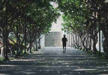 P站官网入口行业观察：AI 赋能全解
