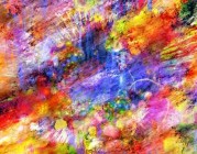 算法透视《每日大赛》社群运营终极剖析
