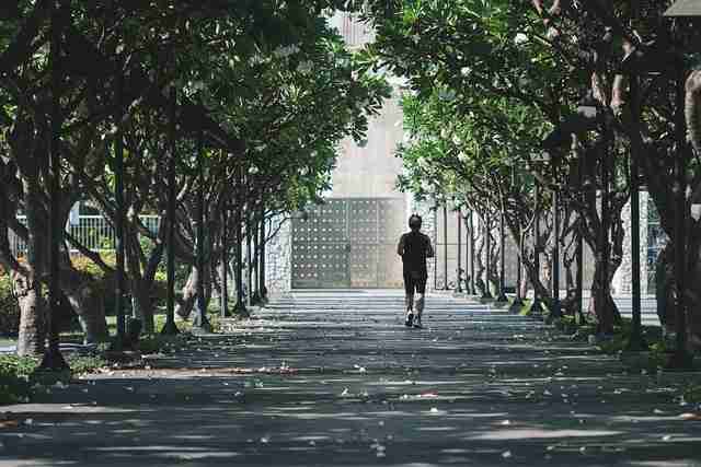 P站官网入口行业观察:AI 赋能全解